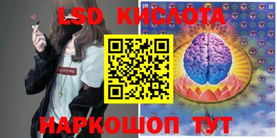 крисы Кулебаки