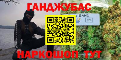 крисы Кулебаки