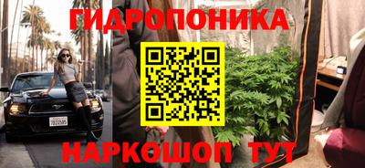 ешки Краснодар