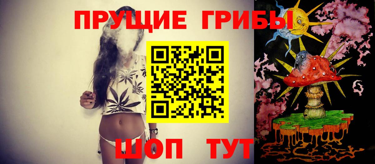 Холмск  Галлюциногенные грибы Psilocybine cubensis  Вход с VPN 
